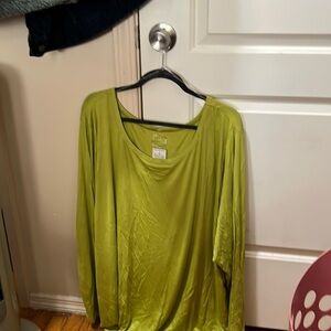 Ashley Stewart shirt